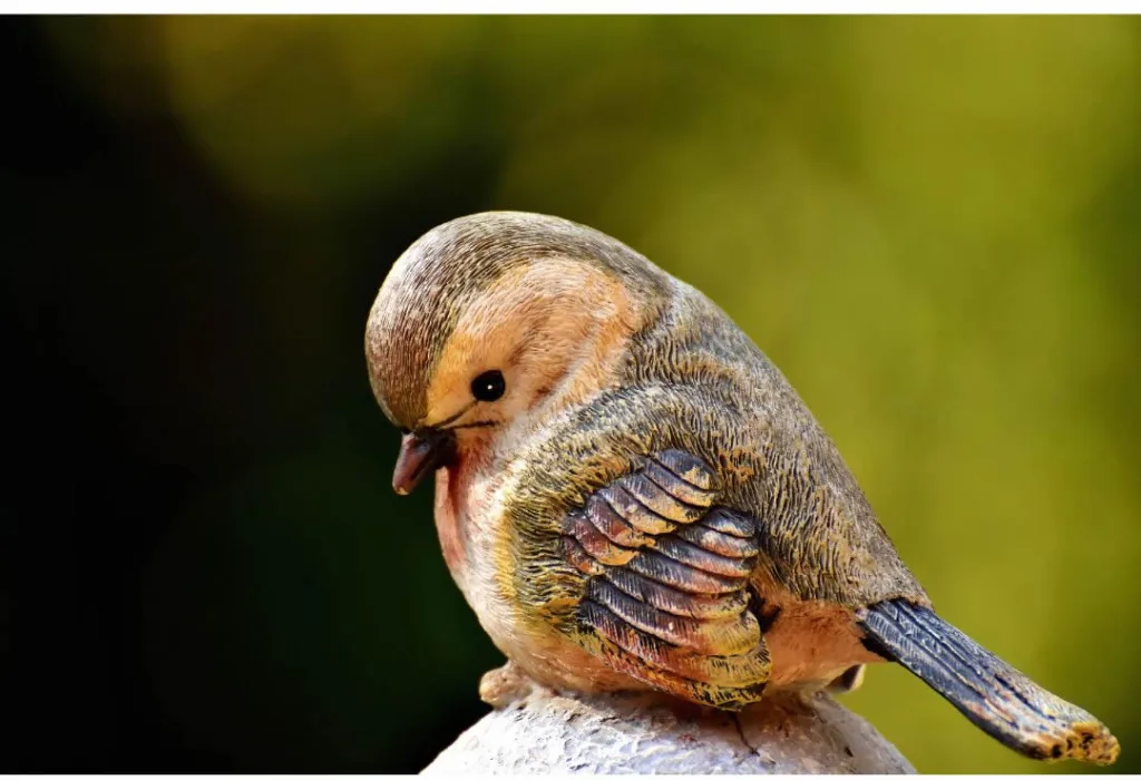 pet ideal para o seu estilo de vida aves pássaros